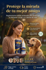 Pets Vision